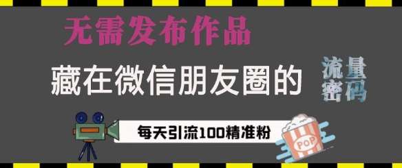 藏在微信朋友圈的流量密码，无需发布作品，单日引流100+精准创业粉【揭秘】-问小徐资源库