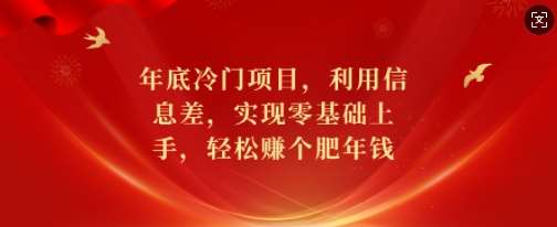 年底冷门项目，利用信息差，实现零基础上手，轻松赚个肥年钱【揭秘】-问小徐资源库