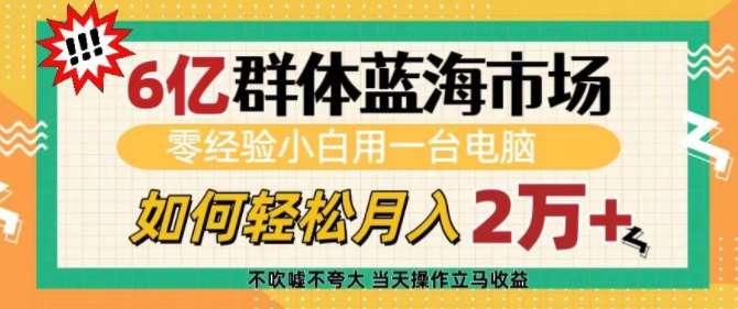 6亿群体蓝海市场，零经验小白用一台电脑，如何轻松月入过w【揭秘】-问小徐资源库