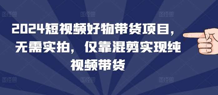 2024短视频好物带货项目，无需实拍，仅靠混剪实现纯视频带货-问小徐资源库