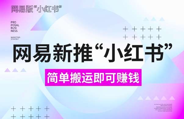 网易官方新推“小红书”，搬运即有收益，新手小白千万别错过(附详细教程)【揭秘】-问小徐资源库