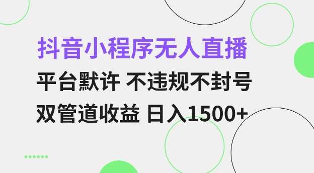 抖音小程序无人直播 平台默许 不违规不封号 双管道收益 日入多张 小白也能轻松操作【仅揭秘】-问小徐资源库