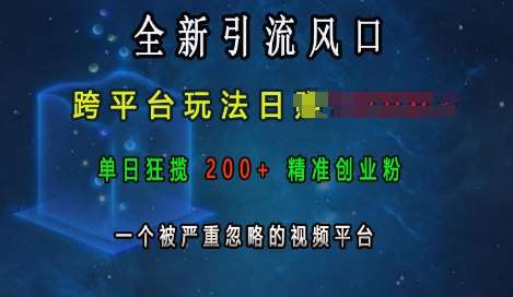 全新引流风口，跨平台玩法日入上k，单日狂揽200+精准创业粉，一个被严重忽略的视频平台-问小徐资源库