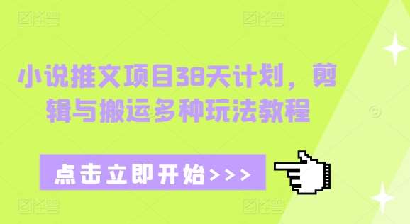 小说推文项目38天计划，剪辑与搬运多种玩法教程-问小徐资源库