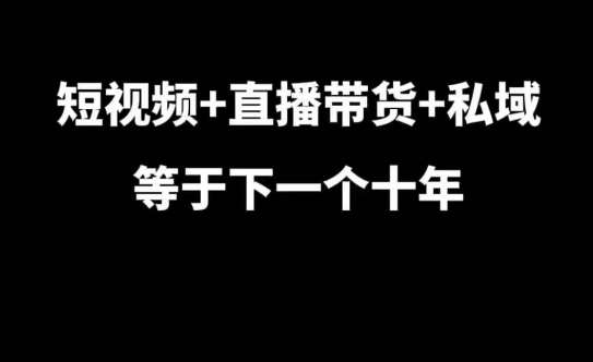 短视频+直播带货+私域等于下一个十年，大佬7年实战经验总结-问小徐资源库