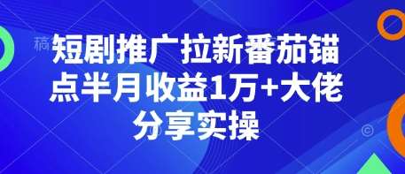 短剧推广拉新番茄锚点半月收益1万+大佬分享实操-问小徐资源库