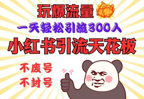 小红书引流天花板，玩爆流量，一天轻松引流300人，安全操作-问小徐资源库