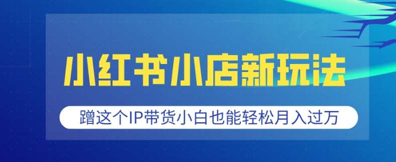 小红书小店新玩法，蹭这个IP带货，小白也能轻松月入过W【揭秘】-问小徐资源库