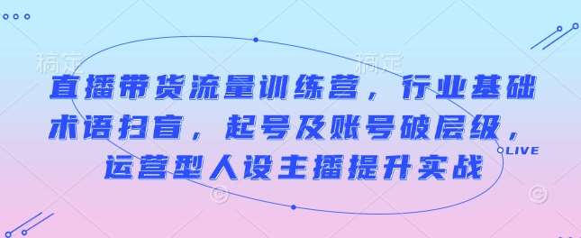直播带货流量训练营，行业基础术语扫盲，起号及账号破层级，运营型人设主播提升实战-问小徐资源库