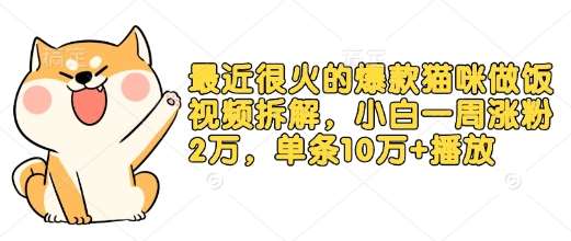 最近很火的爆款猫咪做饭视频拆解，小白一周涨粉2万，单条10万+播放(附保姆级教程)-问小徐资源库