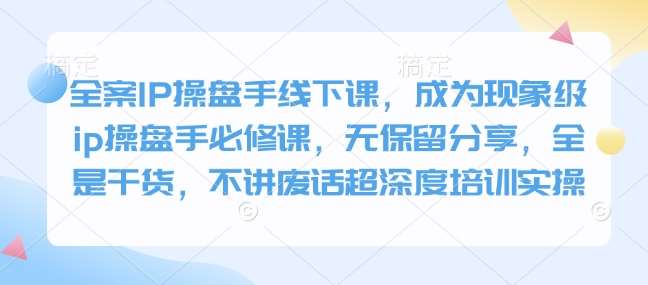 全案IP操盘手线下课，成为现象级ip操盘手必修课，无保留分享，全是干货，不讲废话超深度培训实操-问小徐资源库