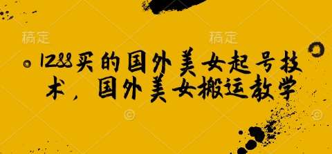 1288买的国外美女起号技术，国外美女搬运教学-问小徐资源库