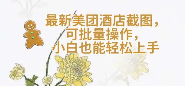 【轻云】最新美团酒店截图，可批量操作，小白也能轻松上手-问小徐资源库