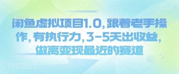 闲鱼虚拟项目1.0，跟着老手操作，有执行力，3-5天出收益，做离变现最近的赛道-问小徐资源库