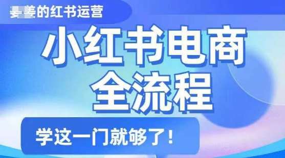 小红书电商全流程，精简易懂，从入门到精通，学这一门就够了-问小徐资源库
