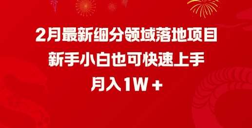 2月最新细分领域落地项目，新手小白也可快速上手，月入1W-问小徐资源库