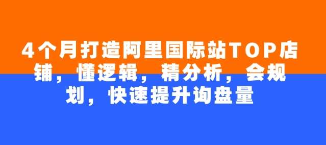 4个月打造阿里国际站TOP店铺，懂逻辑，精分析，会规划，快速提升询盘量-问小徐资源库