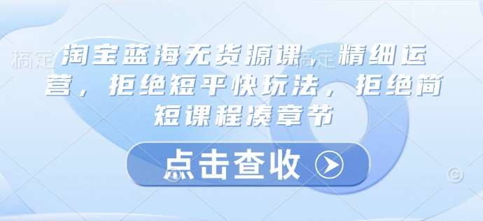淘宝蓝海无货源课，精细运营，拒绝短平快玩法，拒绝简短课程凑章节-问小徐资源库
