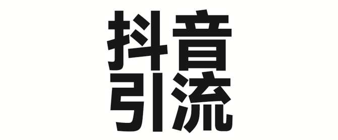 2025年抖音最新暴力引流法，只需一个视频加一段文字，简单操作，单日引300+创业粉-问小徐资源库