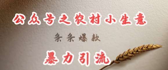 deepseek写农村小项目，条条爆款，暴力引流-问小徐资源库