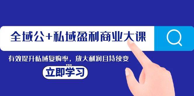 （8045期）全域公+私域盈利商业大课，有效提升私域复购率，放大利润且持续变现-问小徐资源库