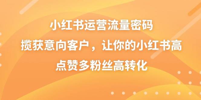 （8764期）小红书运营流量密码，揽获意向客户，让你的小红书高点赞多粉丝高转化-问小徐资源库