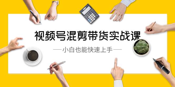 （8686期）视频号-混剪带货实战课，小白也能快速上手（10节课）-问小徐资源库