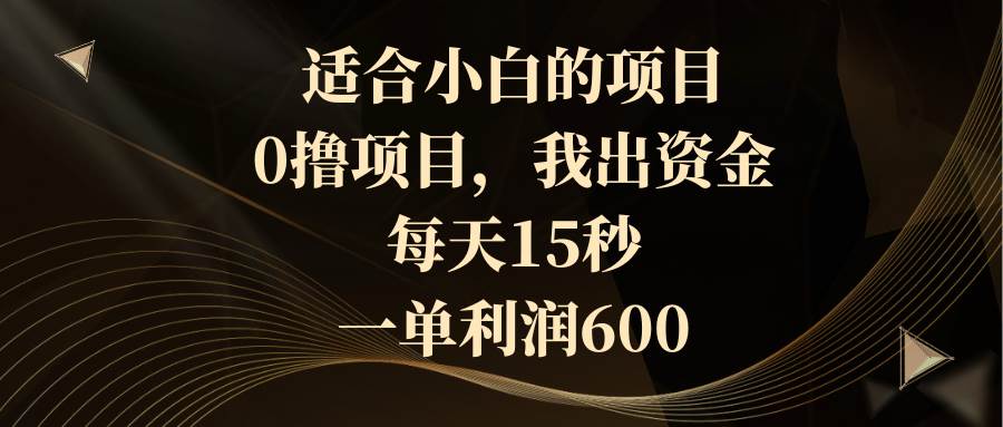 （8571期）适合小白的项目，0撸项目，我出资金，每天15秒，一单利润600-问小徐资源库