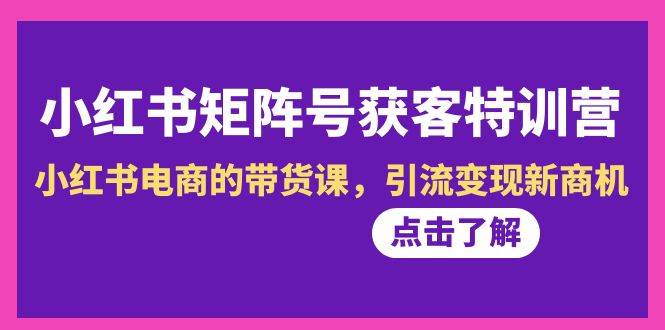 （8909期）小红书-矩阵号获客特训营-第10期，小红书电商的带货课，引流变现新商机-问小徐资源库