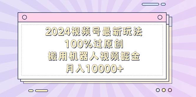 （9151期）2024视频号最新玩法，100%过原创，搬用机器人视频掘金，月入10000+-问小徐资源库