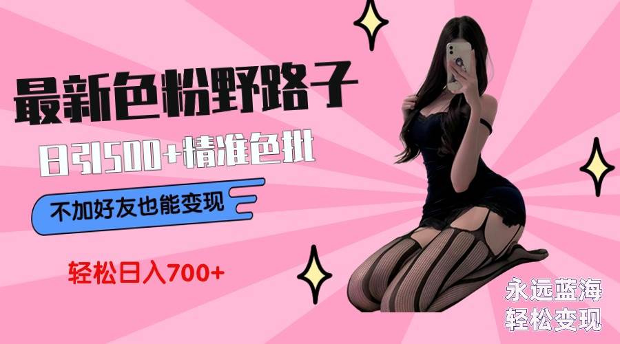 （9119期）最新色粉变现野路子，日引500+老色批 可不加好友直接变现 小白轻松日入700+-问小徐资源库