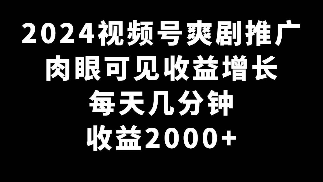 （9028期）2024视频号爽剧推广，肉眼可见的收益增长，每天几分钟收益2000+-问小徐资源库
