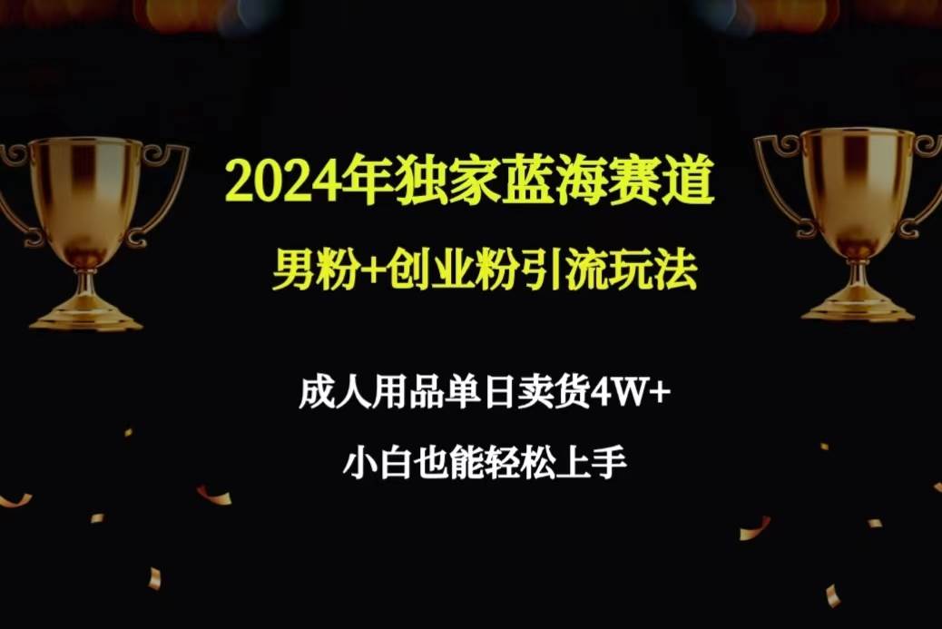 （9112期）2024年独家蓝海赛道男粉+创业粉引流玩法，成人用品单日卖货4W+保姆教程-问小徐资源库