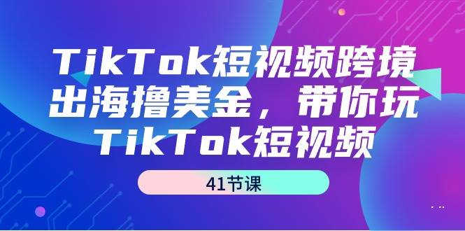 （9155期）TikTok短视频跨境出海撸美金，带你玩TikTok短视频（41节课）-问小徐资源库