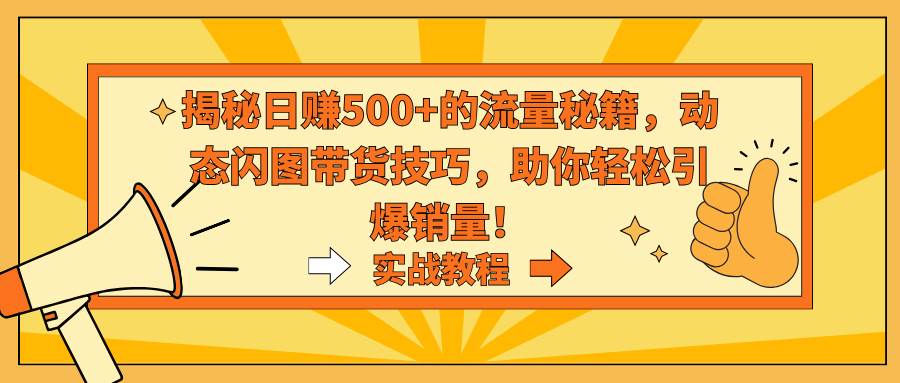 （9058期）揭秘日赚500+的流量秘籍，动态闪图带货技巧，助你轻松引爆销量！-问小徐资源库