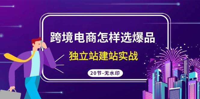 （9369期）跨境电商怎样选爆品，独立站建站实战（20节高清无水印课）-问小徐资源库