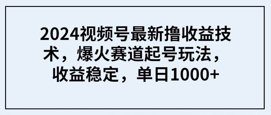 （9651期） 2024视频号最新撸收益技术，爆火赛道起号玩法，收益稳定，单日1000+-问小徐资源库
