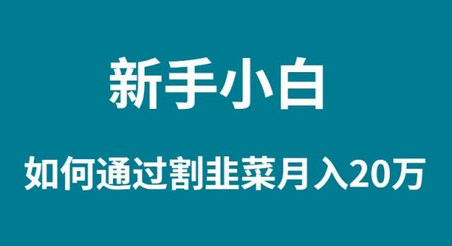 （9308期）新手小白如何通过割韭菜月入 20W-问小徐资源库