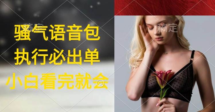 （9589期）执行就出单，日入2000+，超火骚气语音包，小白看完课程就能马上实操-问小徐资源库