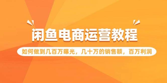 （9560期）闲鱼电商运营教程：如何做到几百万曝光，几十万的销售额，百万利润-问小徐资源库