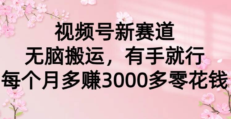 （9278期）视频号新赛道，无脑搬运，有手就行，每个月多赚3000多零花钱-问小徐资源库
