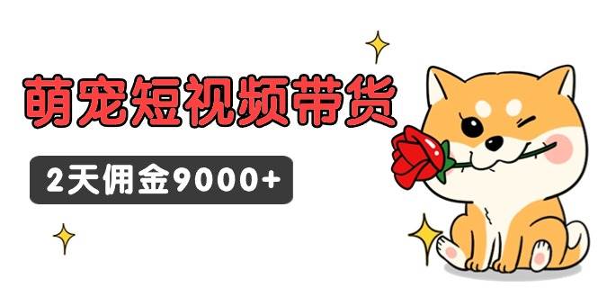 （9273期）东哲日记·萌宠短视频带货，2天佣金9000+-问小徐资源库