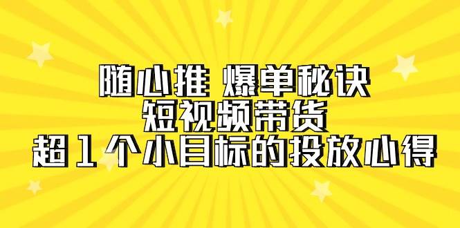 （9687期）随心推 爆单秘诀，短视频带货-超1个小目标的投放心得（7节视频课）-问小徐资源库