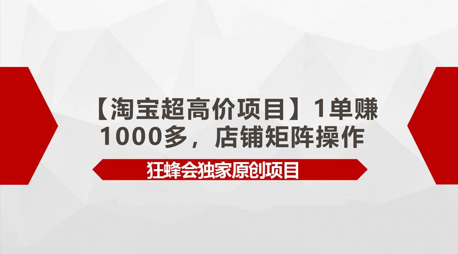 （9849期）【淘宝超高价项目】1单赚1000多，店铺矩阵操作-问小徐资源库
