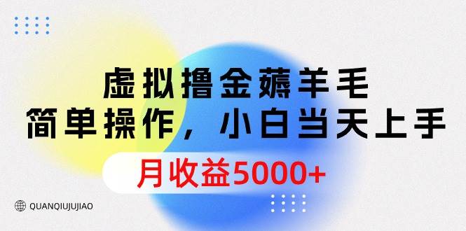 （9864期）虚拟撸金薅羊毛，简单操作，小白当天上手，月收益5000+-问小徐资源库