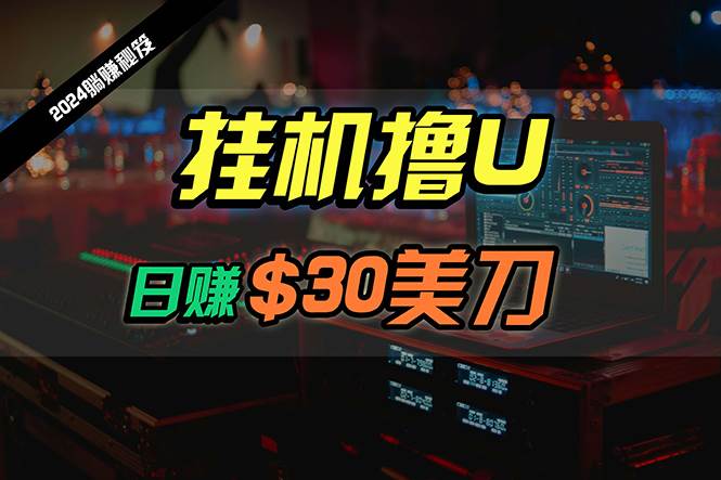 （10013期）日赚30美刀，2024最新海外挂机撸U内部项目，全程无人值守，可批量放大-问小徐资源库