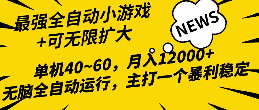 （10046期）2024最新全网独家小游戏全自动，单机40~60,稳定躺赚，小白都能月入过万-问小徐资源库