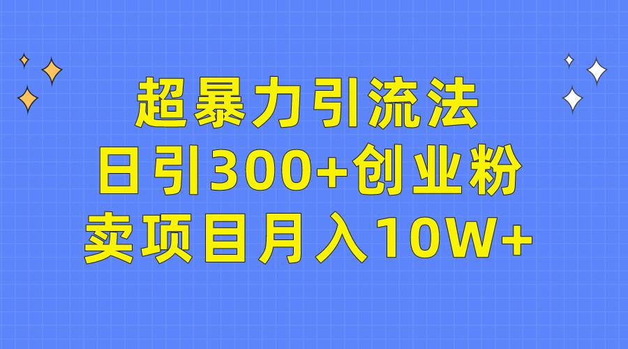 （9954期）超暴力引流法，日引300+创业粉，卖项目月入10W+-问小徐资源库