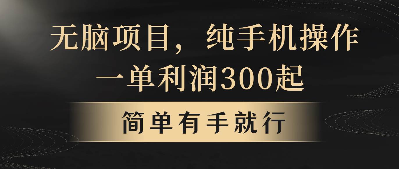 （10589期）无脑项目，一单几百块，轻松月入5w+，看完就能直接操作-问小徐资源库