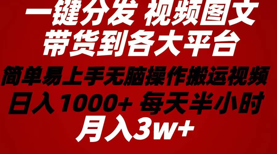（10667期）2024年 一键分发带货图文视频  简单易上手 无脑赚收益 每天半小时日入1...-问小徐资源库